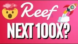 Reef finance (REEF)- Will it 100x or go to zero?! (Price update)