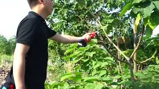 7 Inch small wood cutting portable battery powered mini cordless electric chainsaw