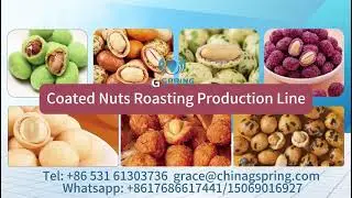 Best quality dry roasted peanuts coating# dry roasted peanuts coating#machine