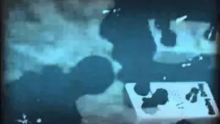 Bela Infanta - Planícies