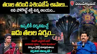 Pambummekkattu Mana Temple Mystery | Abhyudaya Foundation CEO Nanda Kishore Reddy | Geethanjali