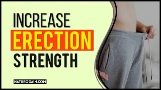 Herbal Erection Enhancer Supplements to Increase Male Power and Stamina