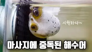 재미있는 미공개영상과 하이라이트영상 모음