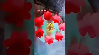 new flower aidea