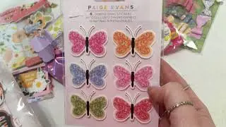 Outgoing Surprise Mail // Paige Evans Garden Shoppe