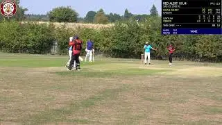 Slough All Stars 2nd XI vs Red Alert CC