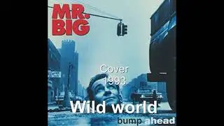 CAT STEVENS vs. MR. BIG - Wild world