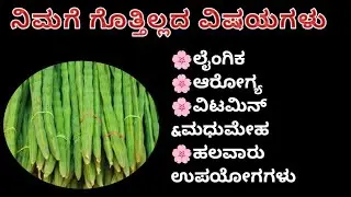 ನೋಡಲೇ ಬೇಕಾದ ಮಾಹಿತಿ | ಹತ್ತು ಲಾಭಗಳು | ನುಗ್ಗೆಕಾಯಿ ಉಪಯೋಗ || Nuggekayi Upayoga Kannada 