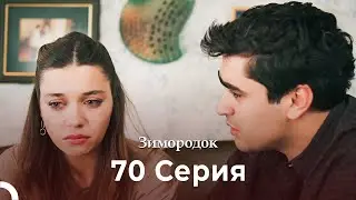 Зимородок 70 Cерия (Русский дубляж) (4K)