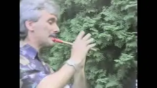 Petrica Nicoara - Instrumentala ( Fluier )