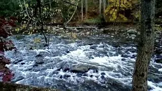 Hemlock Creek Loop 10-21-25 Tinkers Creek Bedford Reservation