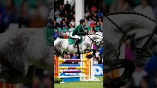 If only ai would make the horse go over a jump😅 #fale #ai