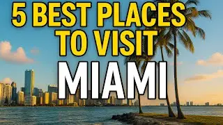 Top 5 Places to Visit in Miami (With Prices, Tips & How to Get There)
