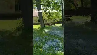 Summer in Estonia #🇪🇪 countryside #adventure #travelvlog