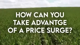 How to take advantage of a commodity price surge, Pro Farmer Crop Tour's influence on markets & more