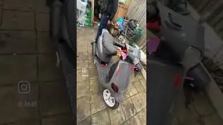 Piaggio Zip Type 3 #шорты