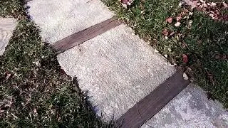 Patina Stain from Leaves