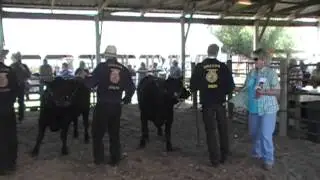 2010 Wallowa County Fair -- Market Livestock Conformation