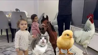 DİLA DAĞHAN BABASIYLA ALİ BABANIN ÇİFTLİĞİ OYUNU OYNUYOR ‼️ KÖREBE OYNADILAR !!!