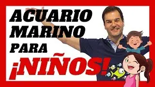 6 PASOS para montar un ACUARIO MARINO para NIÑOS con filtro Hydra®  🐠