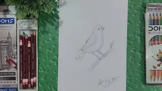 How to draw easy Sparrow for kids || easy beginners tutorial of sketch || @ManiCreations-M  