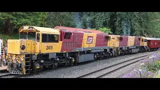 Westlander and Watco cattle and Watco Light engines and Spring bluff to Toowoomba shuttle