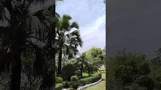 Luxury 6BHK Farmhouse for Rent in Ghitorni Farms, MG Road, Delhi | With Pool & Lawn