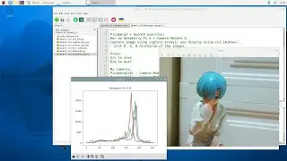 Picamera2+OpenCV+matplotlib Python exercise to display histogram, run on Raspberry Pi