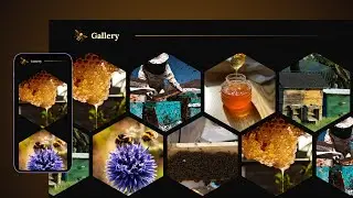 Visual Showcase: Creating the Gallery Slider Honey Bee Shop Web Template || HTML, CSS & Vanilla JS.