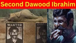 Second Dawood Ibrahim | veerappan | Nikhil True crimes