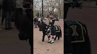 GRENADIER GUARDS CORPS OF DRUMS