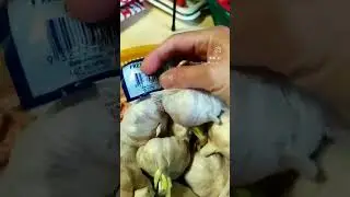 Surprised to find these sprouted garlic cloves from China!