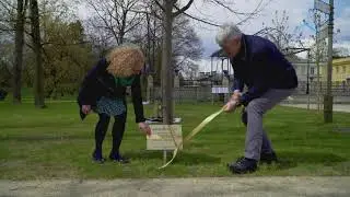 Tree Planting at Wilan&oacute;w Palace Gardens, Warsaw
