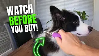 How the Poodle Pet Fur Rake Comb Makes Grooming Easy