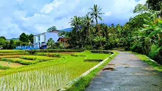 Desa Indah Sehabis Diguyur Hujan Menambah Suasana Semakin Sejuk Dan Damai‼️