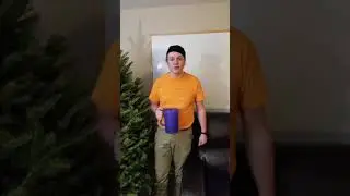 How to water a Christmas tree