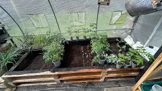 We are Live in the Poly Tunnel!