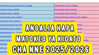 How to Check Form Four Results 2025/2026