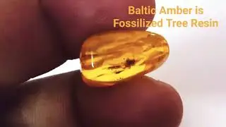 Amber is stone or resin & can we check natural amber @NatureWorld92