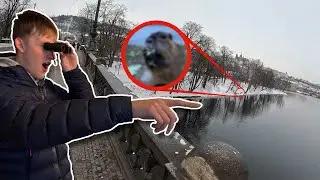 Tracking Down The Giant Rats In Prague!