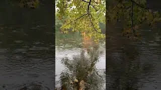 Rainy Day Walk in Central Park NYC | Relaxing New York City Tour 4K 💧💧💧 #newyork #travel