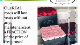 Fast Flower Delivery Chicago
