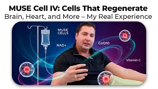 MUSE Cell IV: Cells That Regenerate the Brain, Heart, and More &ndash; My Real Experience