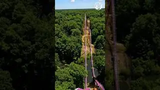 CRAZY 210FT Drop On Apollos Chariot at Busch Gardens Williamsburg #shortsvideo #rollercoaster #pov