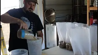 Life of a Mushroom Farmer | Silent Vlog