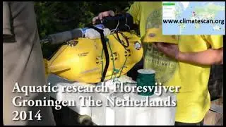 Aquatic research Floresvijver Groningen The Netherlands