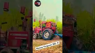 Massey Ferguson 385 torlly performance video # #foryou #farmequipment #agriculturalmachinery #like