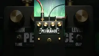 Ivy Pedals PETULANCE #Guitar #PedalDemo [1/4] #effectspedals #guitarpedals #fuzz #distortion #reverb