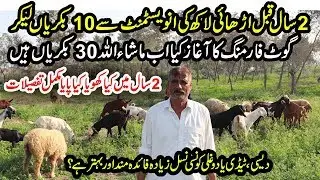 Goat Farming After 2 Years | Desi Goat Farming | Dogli Goat Farming | Teddi Goat Farming