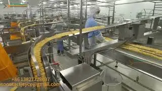 Full automatic cookies feeding and packing system with no motor feeder | 300~600pcs/min/lane
